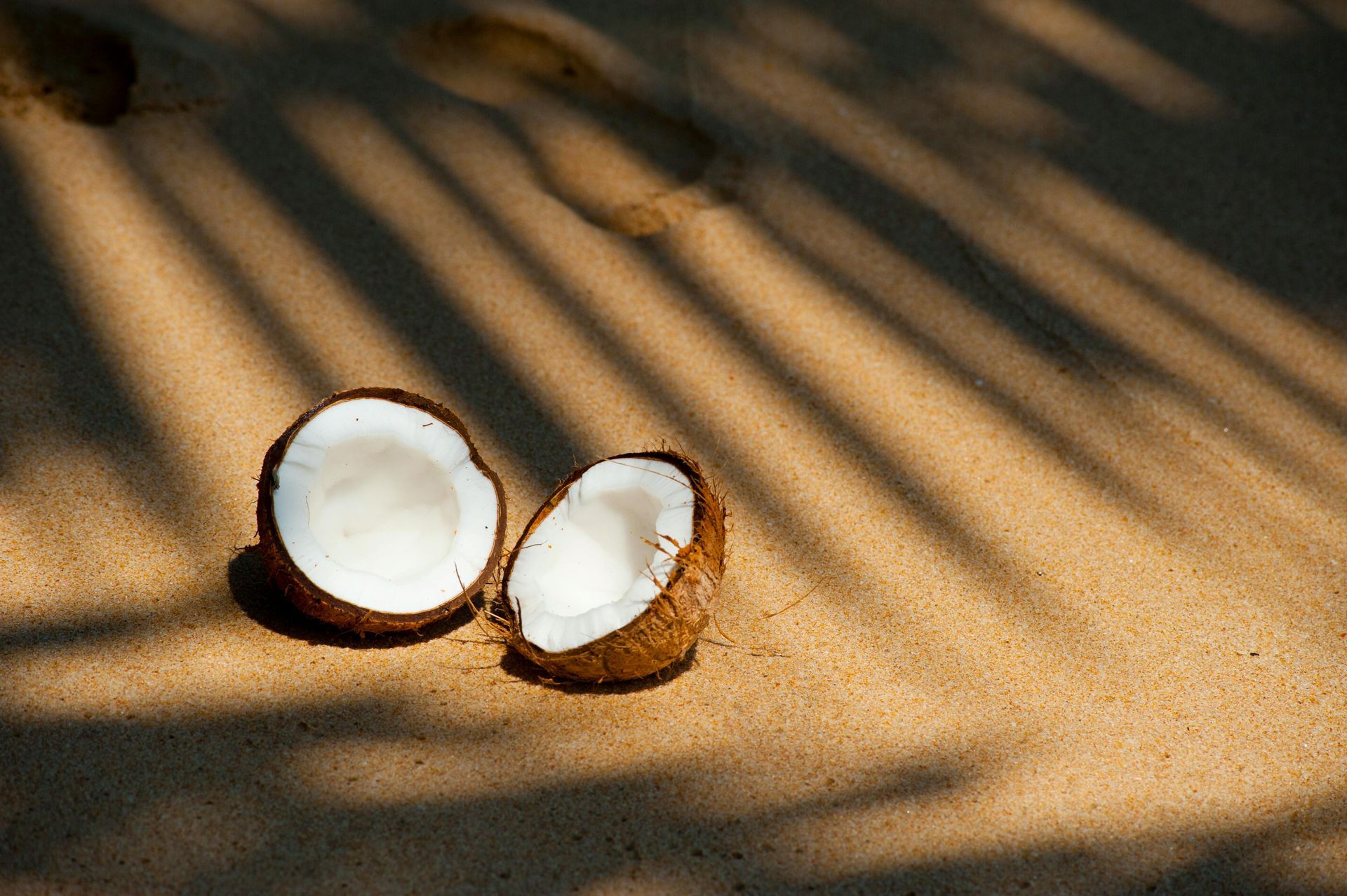 Two coconut halves on sand with diagonal palm shadows