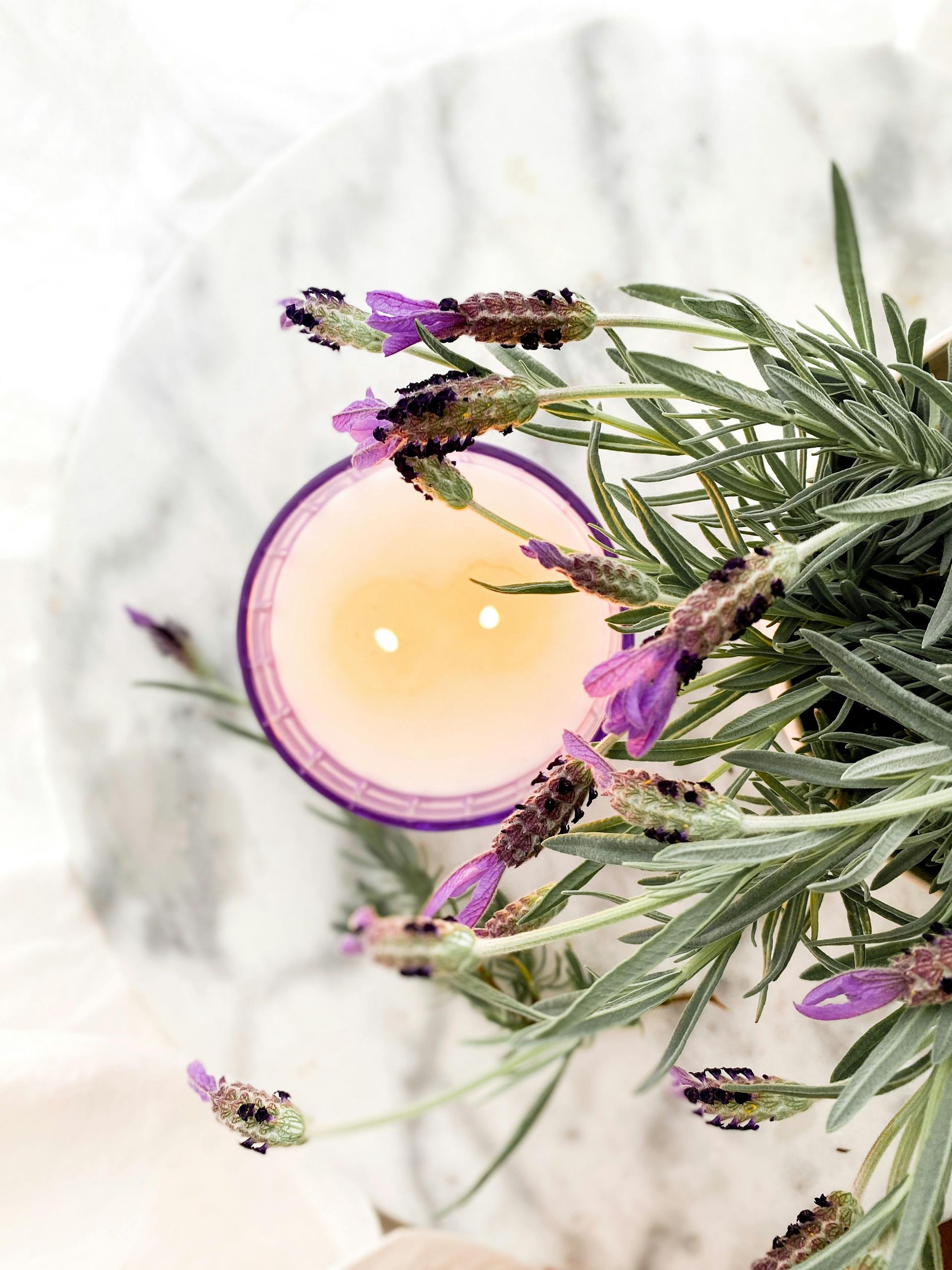 Purple candle surrounded by lavender sprigs on a soft white background