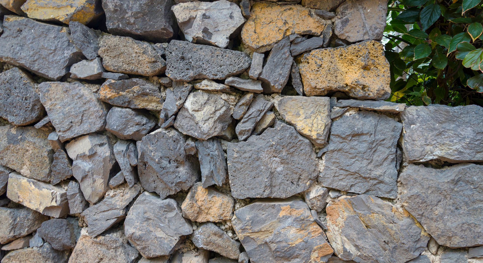 A close up of a stone wall with a tree in the background.