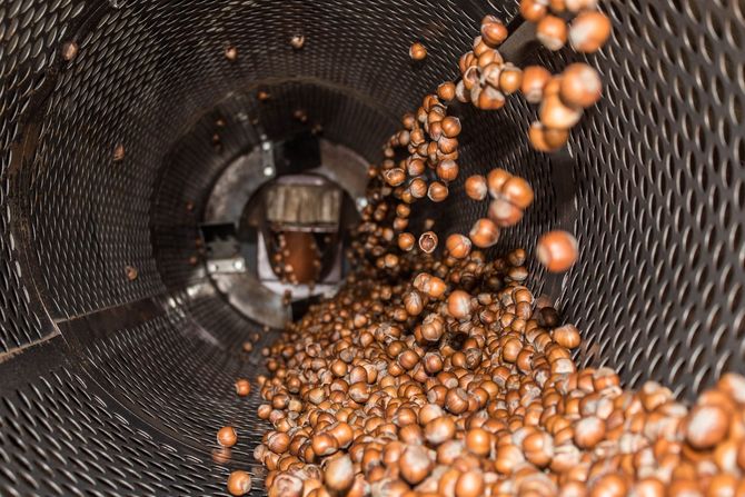 Bacche d'arancia che rotolano attraverso un grande tamburo metallico in una macchina di lavorazione