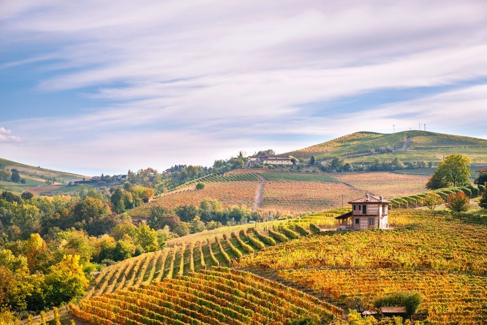 Dolci colline ricche di vigneti sotto un cielo color pastello, con una piccola casa colonica sulla destra.