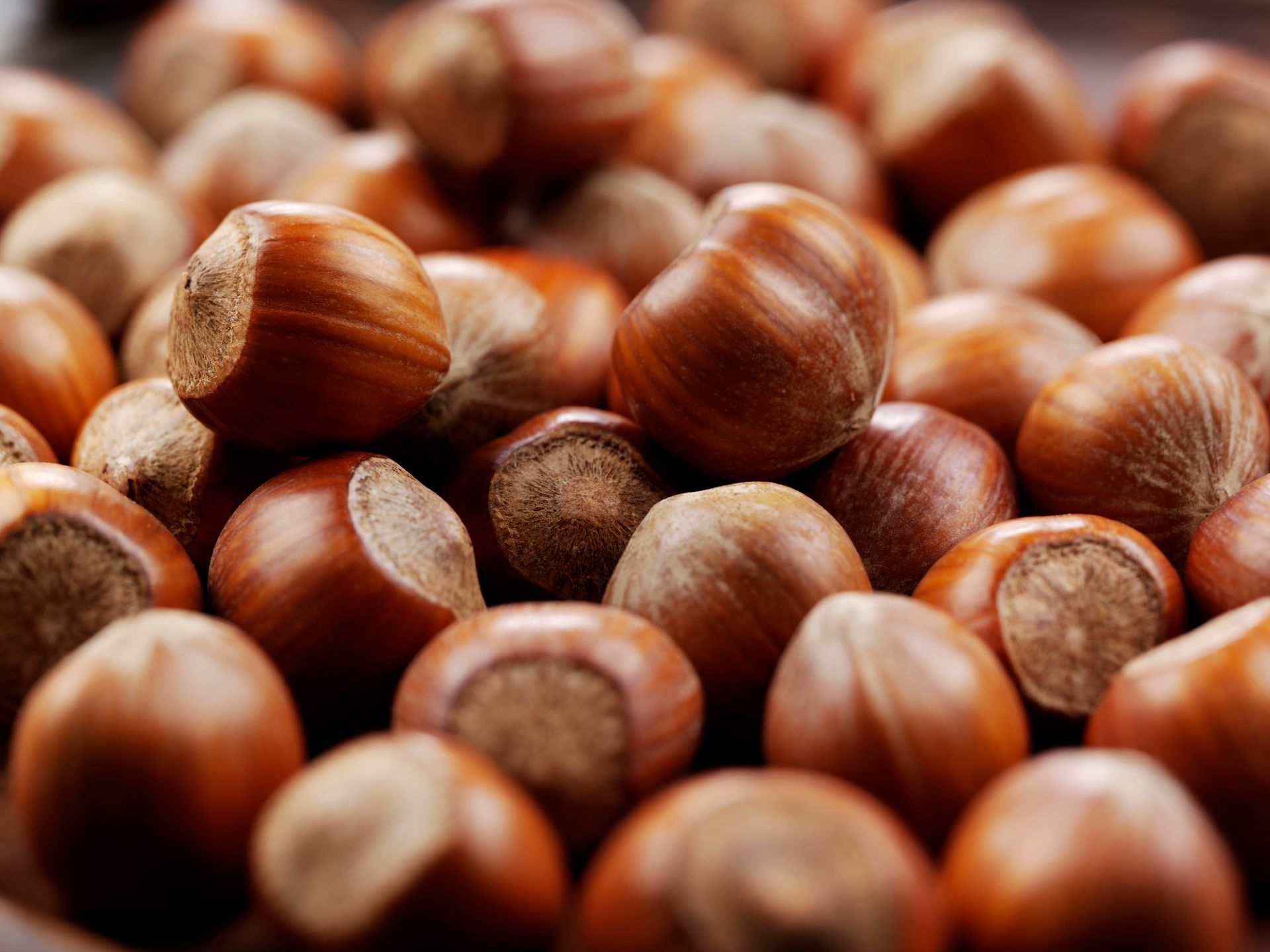 Primo piano di un grande mucchio di nocciole marroni, sgusciate e dalla superficie ruvida.