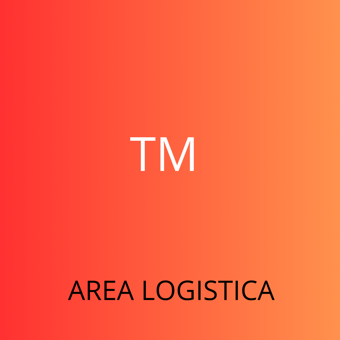 CONSULTORES  SAP TM