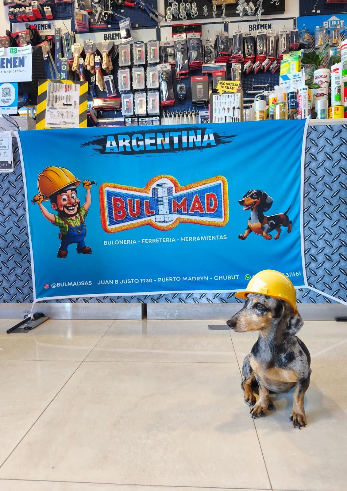 Un perro que lleva un casco amarillo se sienta delante de una pancarta de una tienda en Argentina
