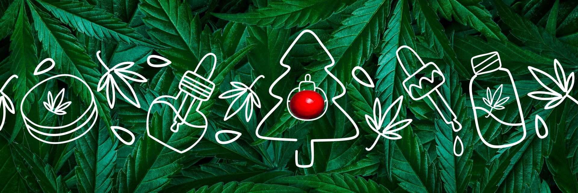 Christmas background, frame of hemp leaves, marijuana with CBD and cannabis products