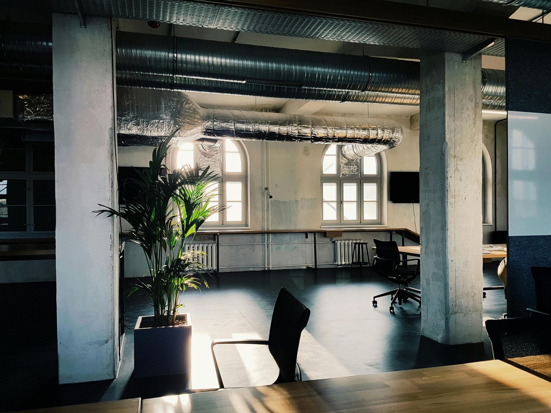 Modern office interior with columns, arched windows, and a potted plant in sunlight.