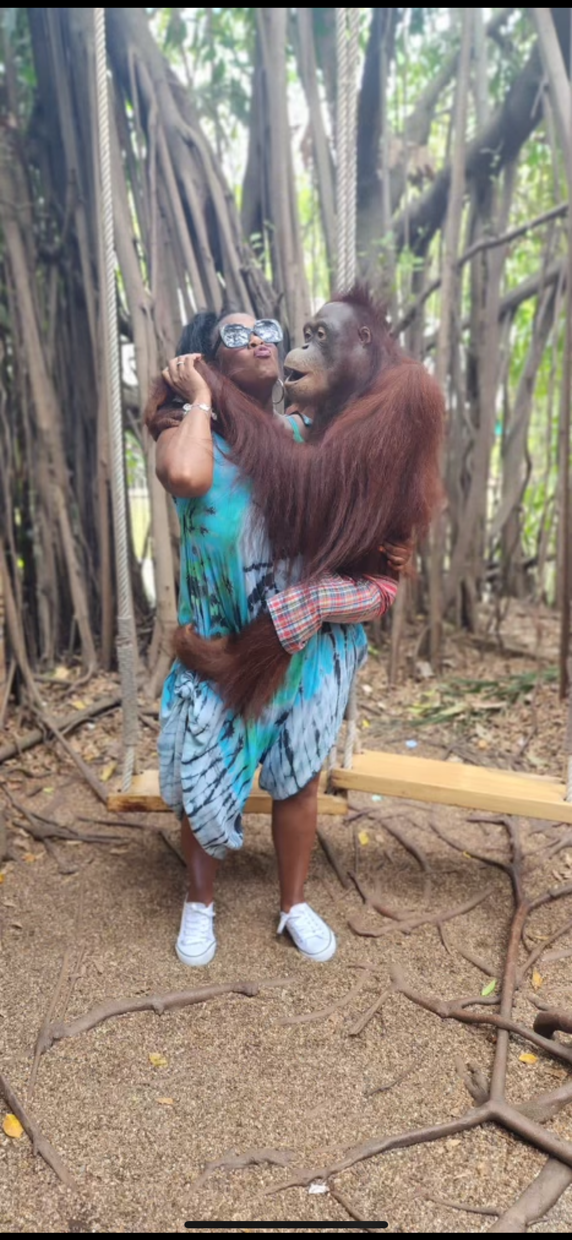 A woman is holding an orangutan in her arms in the woods.