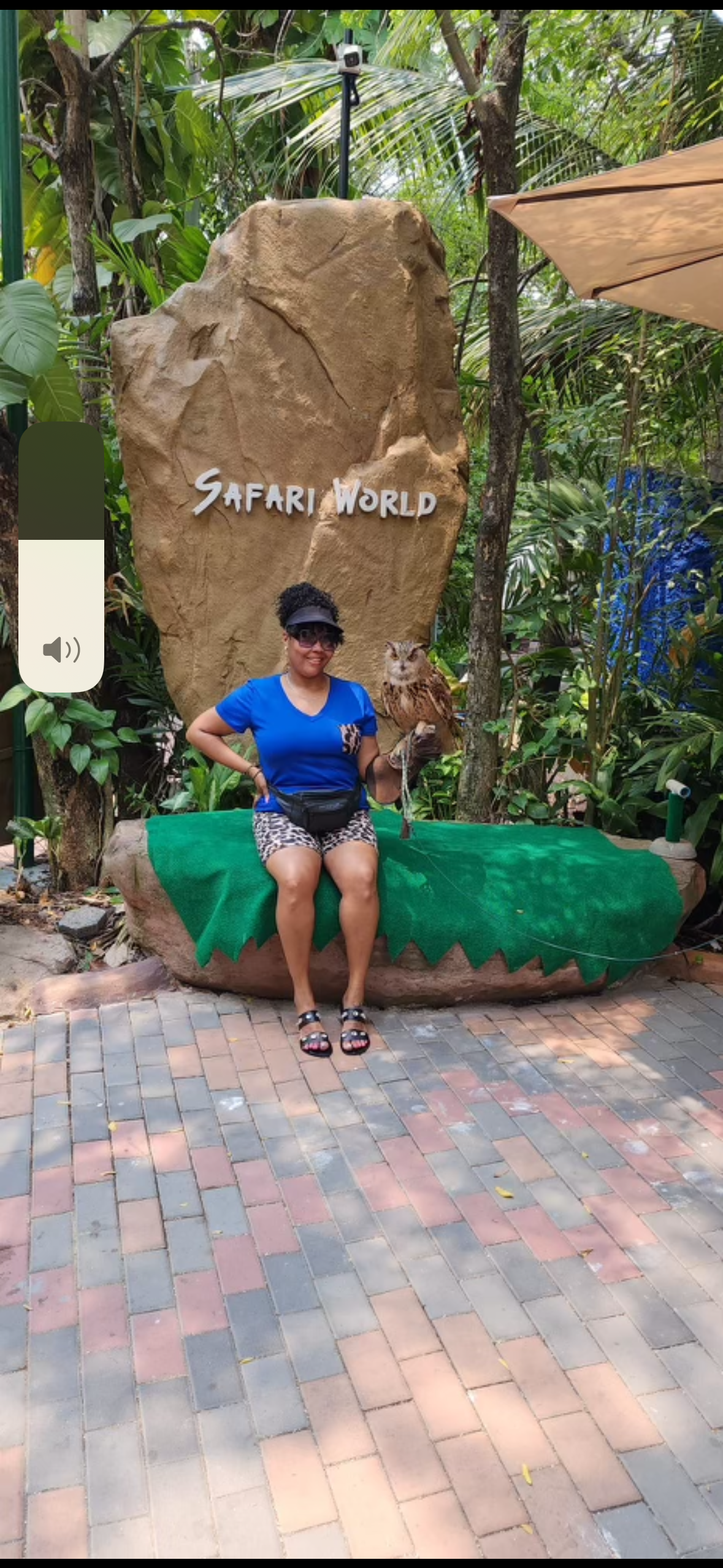 A woman is sitting on a rock in front of a safari world sign.