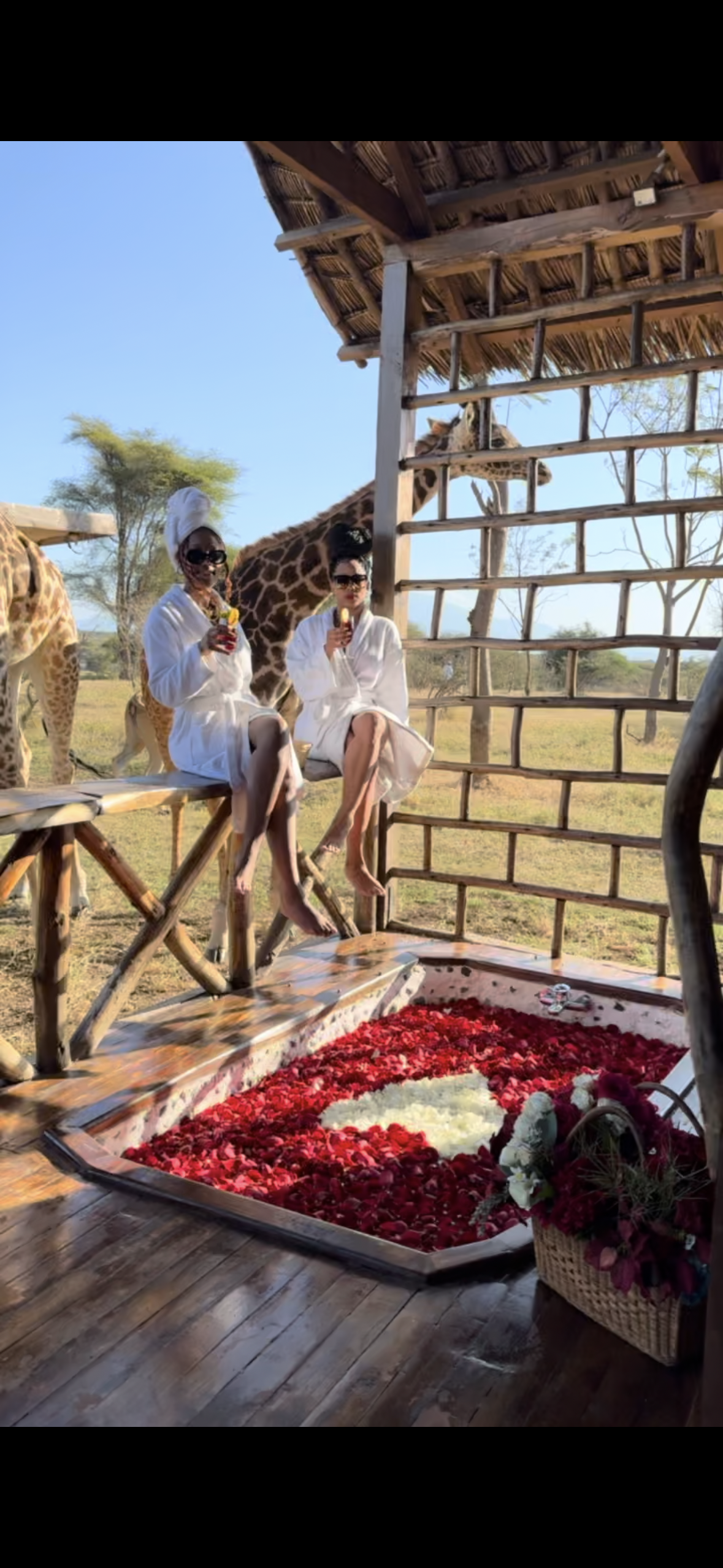 A couple of people sitting on a porch with a giraffe in the background.