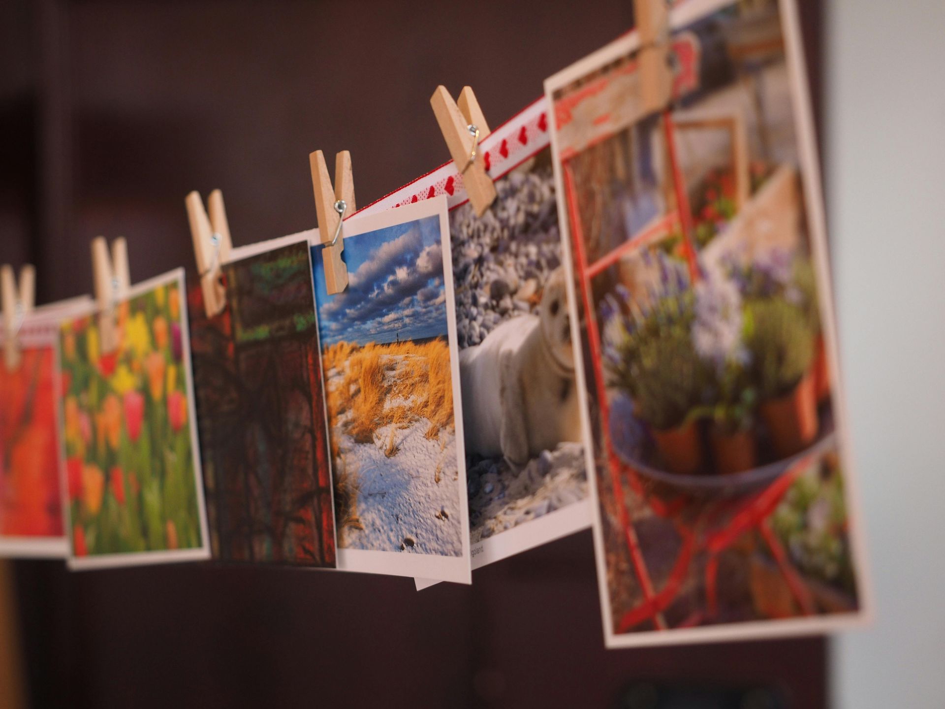 A row of pictures hanging on a clothesline with wooden pegs.
