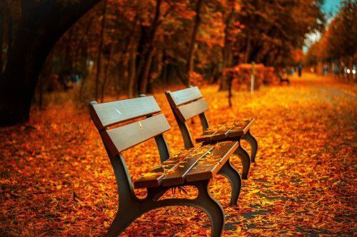 Two wooden benches in a park covered in leaves.