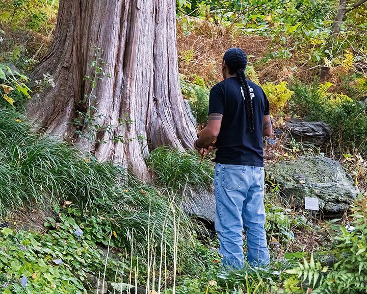 Person standing near a large tree trunk in a lush, green, natural setting.