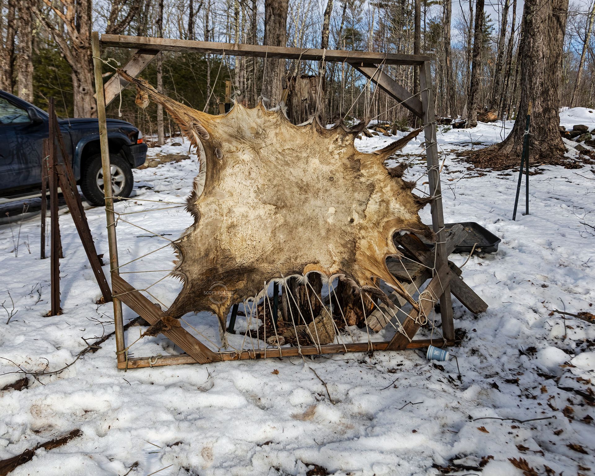 A large animal hide stretched on a wooden frame, outdoors in a snowy environment.