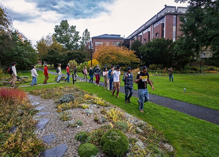 Group of people walking on a green lawn with a flowerbed in a park. 
