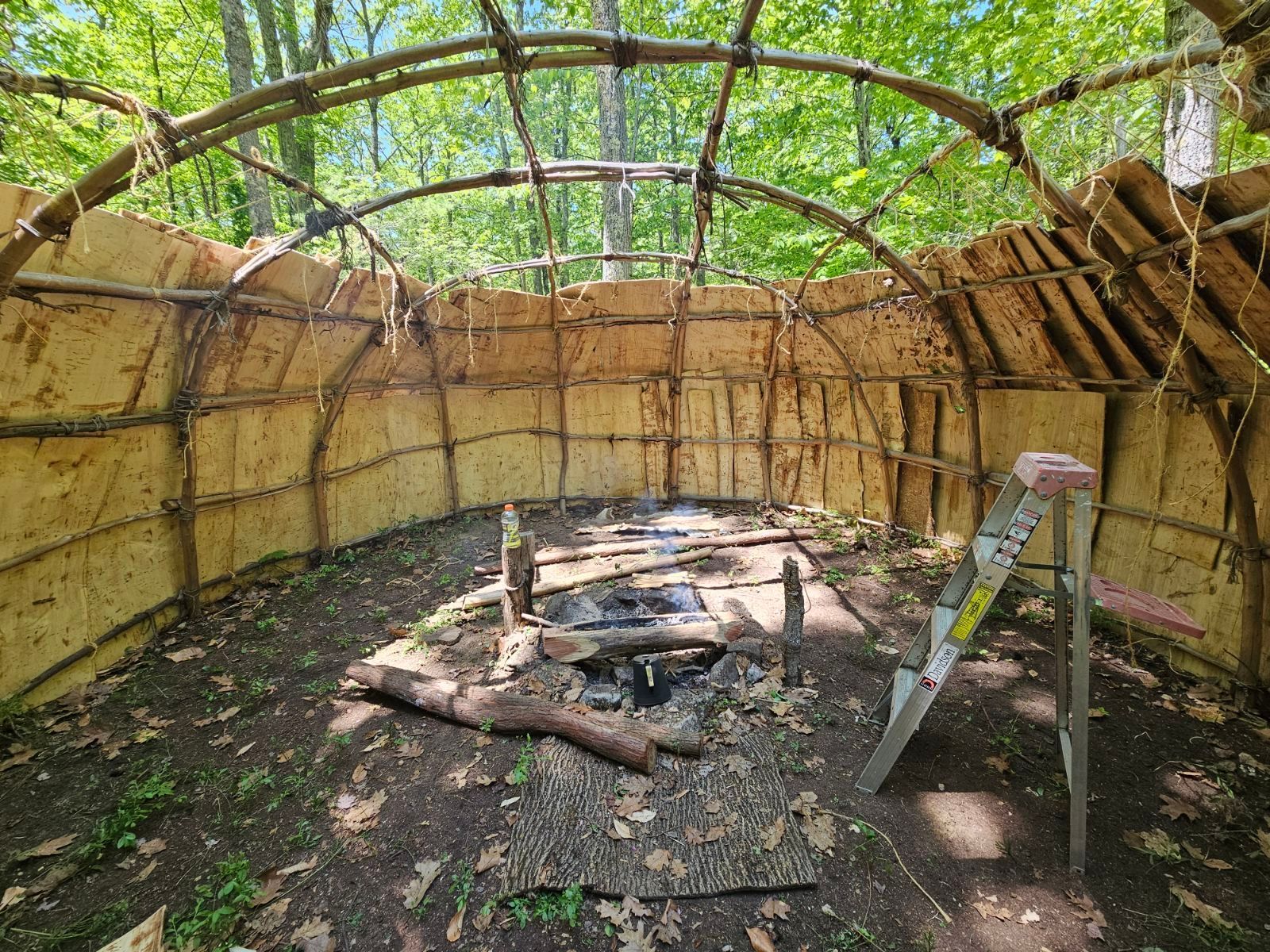 Interior view of a rustic, arched shelter with a fire pit, surrounded by wood-paneled walls, with a ladder propped nearby.