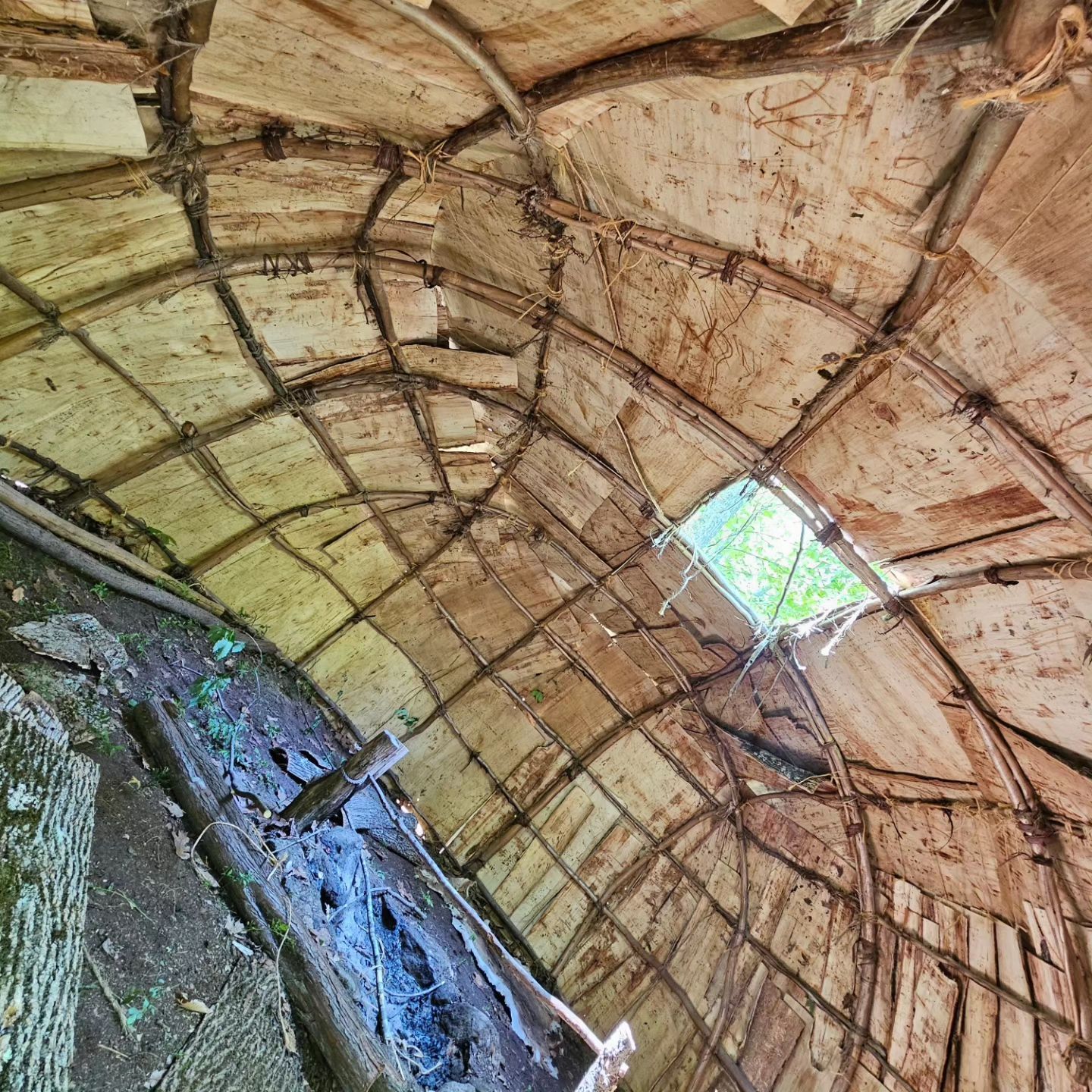 Inside view of a decaying, domed structure with a patchwork roof of wood and aged material.