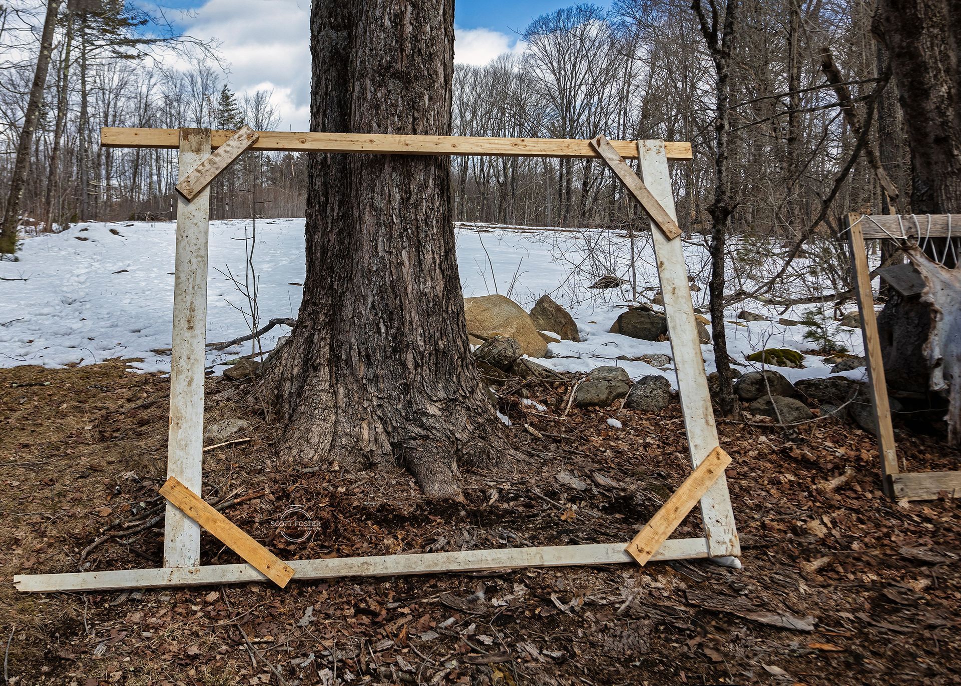 A wooden frame leaning against a tree in a snowy, wooded area.