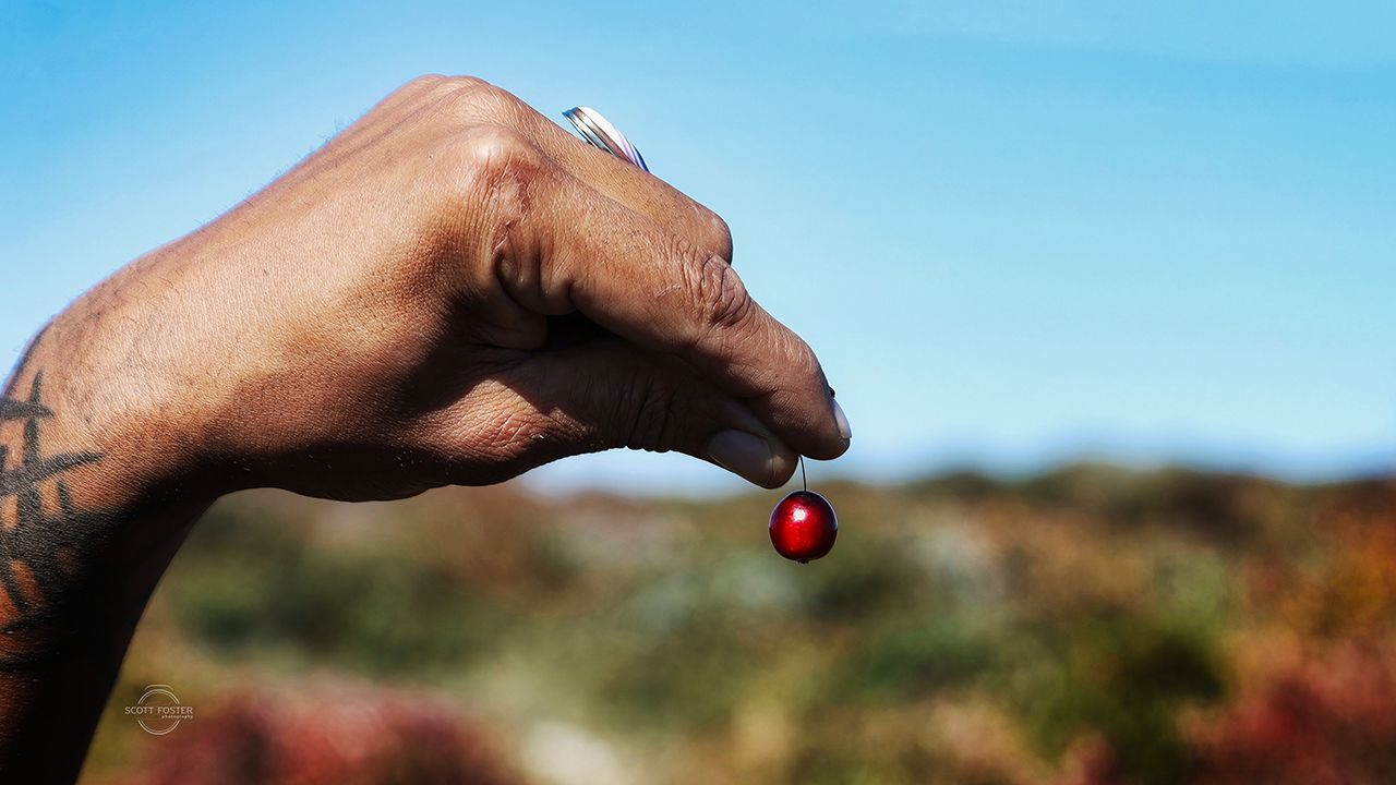 Hand holding a small, red berry against a blurred outdoor landscape and a bright blue sky.
