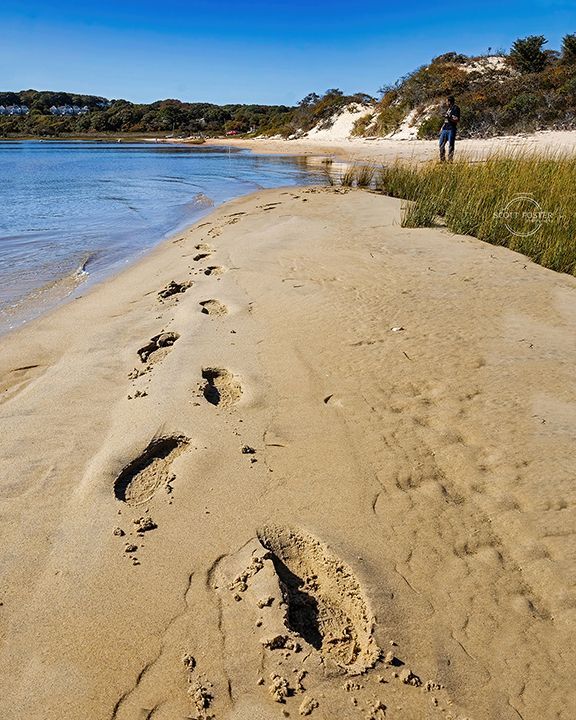 Footprints in the sand lead toward a person standing near water on a sunny day.