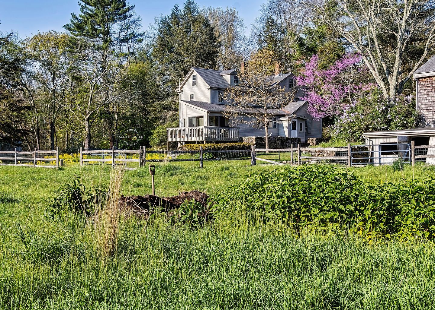 Grassy field with a wooden fence leading to a two-story house surrounded by trees.