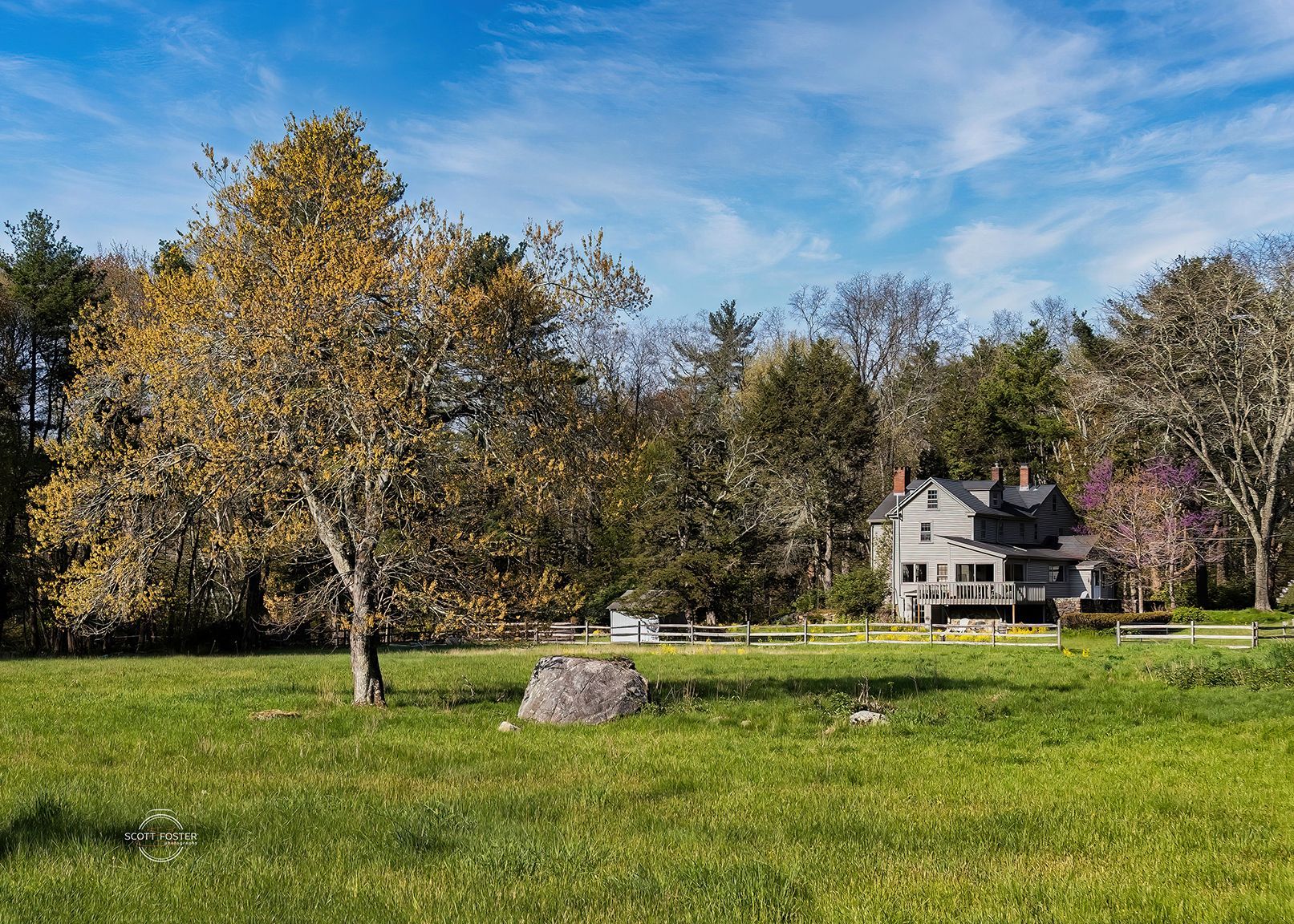 Grassy field with a two-story house in the background, a tree with yellow leaves in the foreground, and a blue sky.