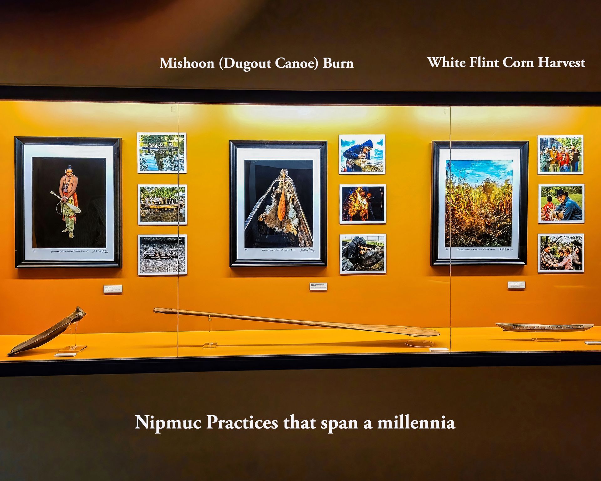 Museum display: Nipmuc practices exhibit with framed art and a canoe.