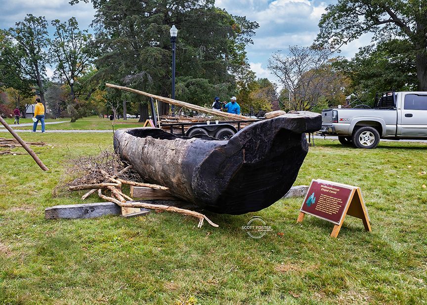 Large dugout canoe on display in a grassy park, with a trailer and truck in the background. A sign stands nearby.