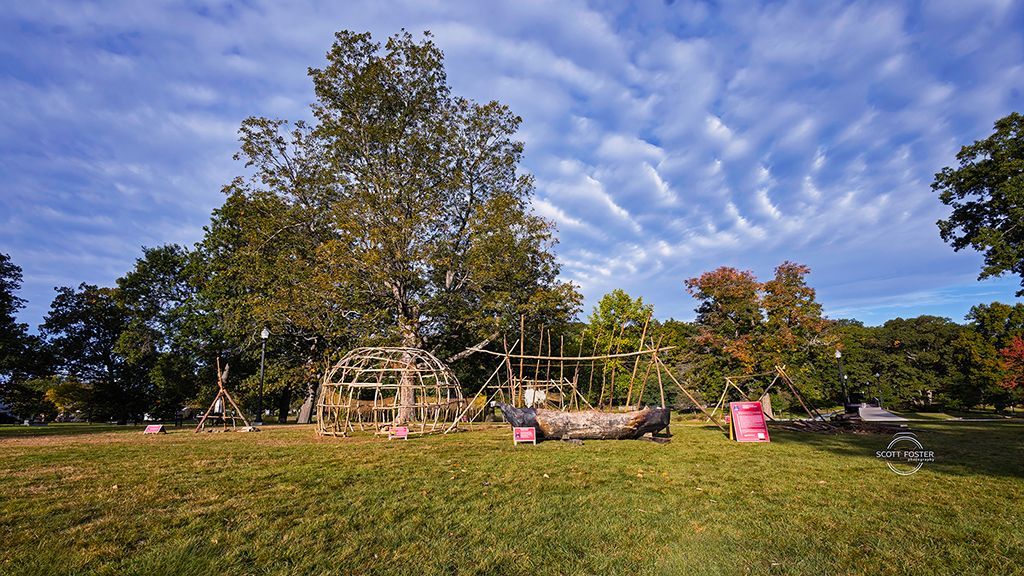 Grassy field with makeshift structures and trees under a cloudy sky.