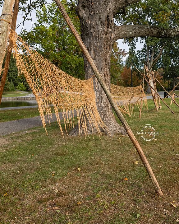 Yellow woven net strung between wooden poles and a tree on a grassy area.