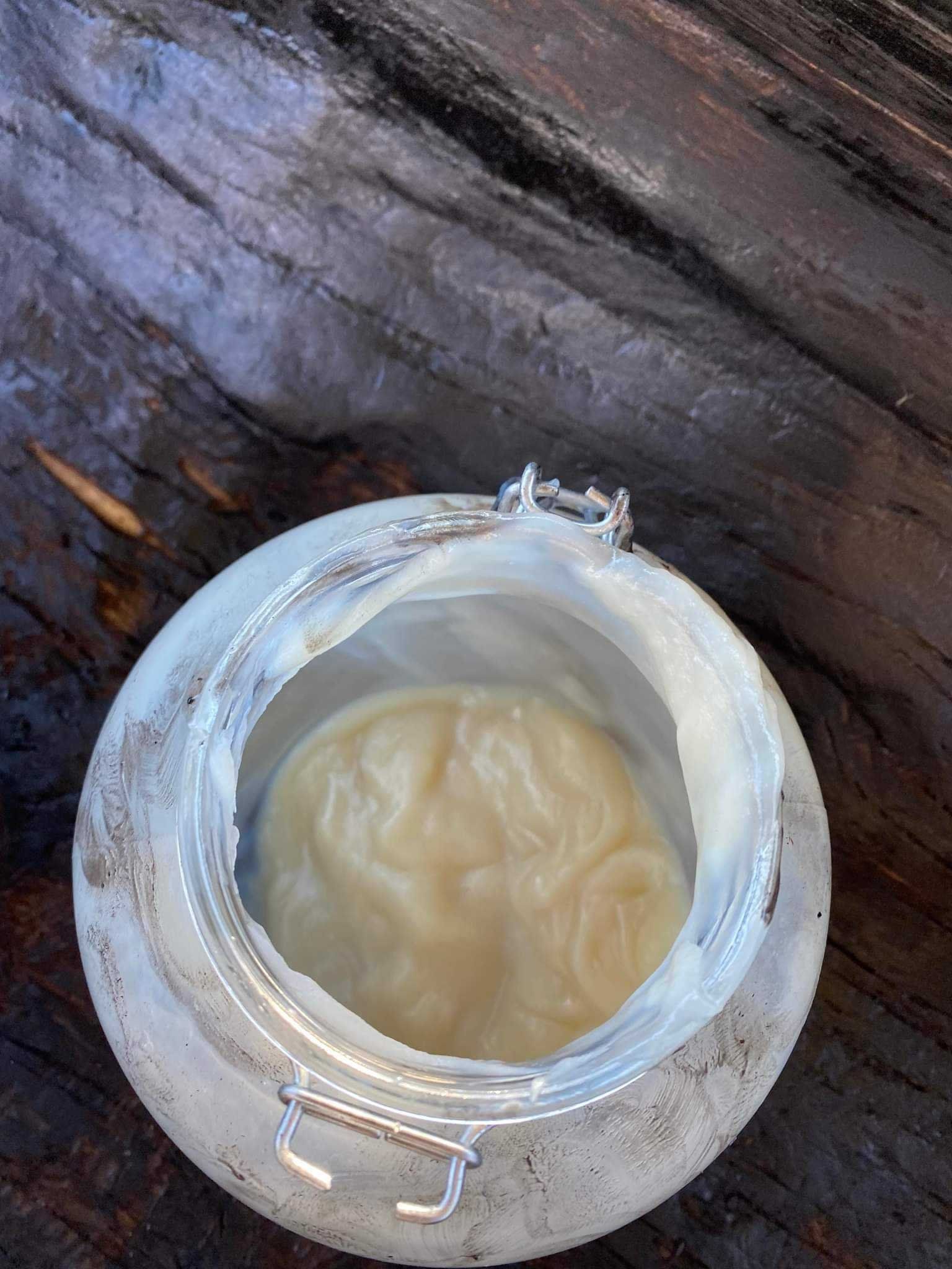 A jar with a pale, pancake-like SCOBY (symbiotic culture of bacteria and yeast) sitting in liquid.