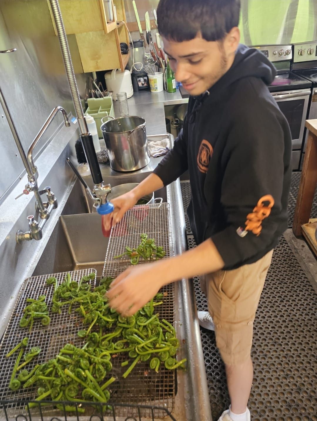 A person washing green beans in a kitchen sink. Wearing a black hoodie and tan shorts. Smiling.