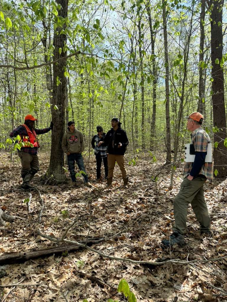 Group of people standing in a forest, looking at trees. Person in orange vest, others wearing casual clothes.