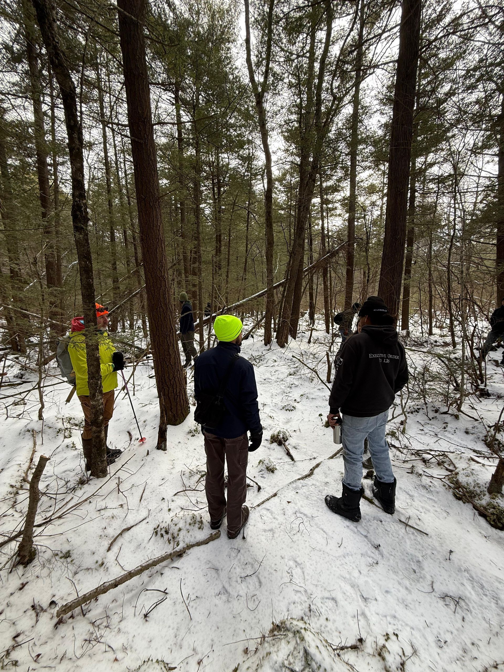 People in winter forest surveying. Snow on ground, trees. One person wearing neon yellow.