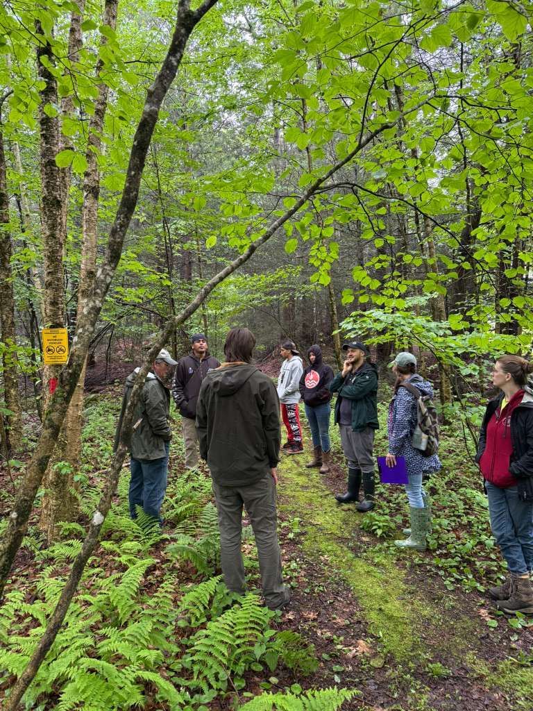 Group of people on a forest trail, some looking up at trees. Green foliage surrounds the path.
