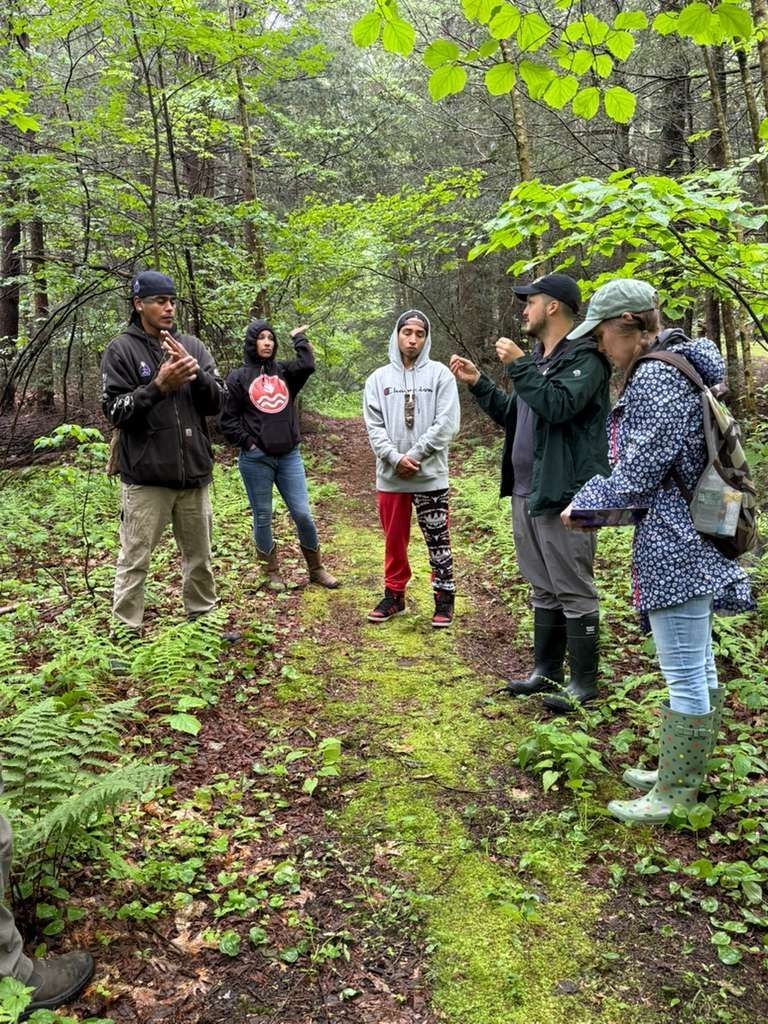 Group of people in a forest, talking on a path. Green foliage surrounds them.