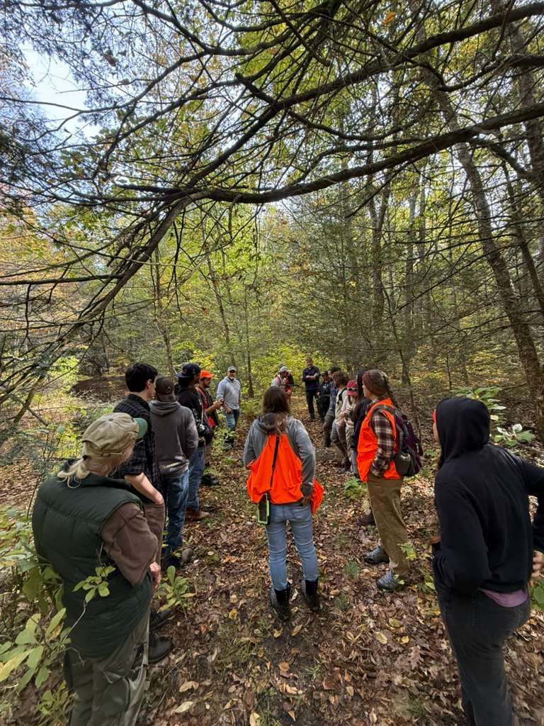A group of people in a forest, standing on a trail. Some wear orange vests.