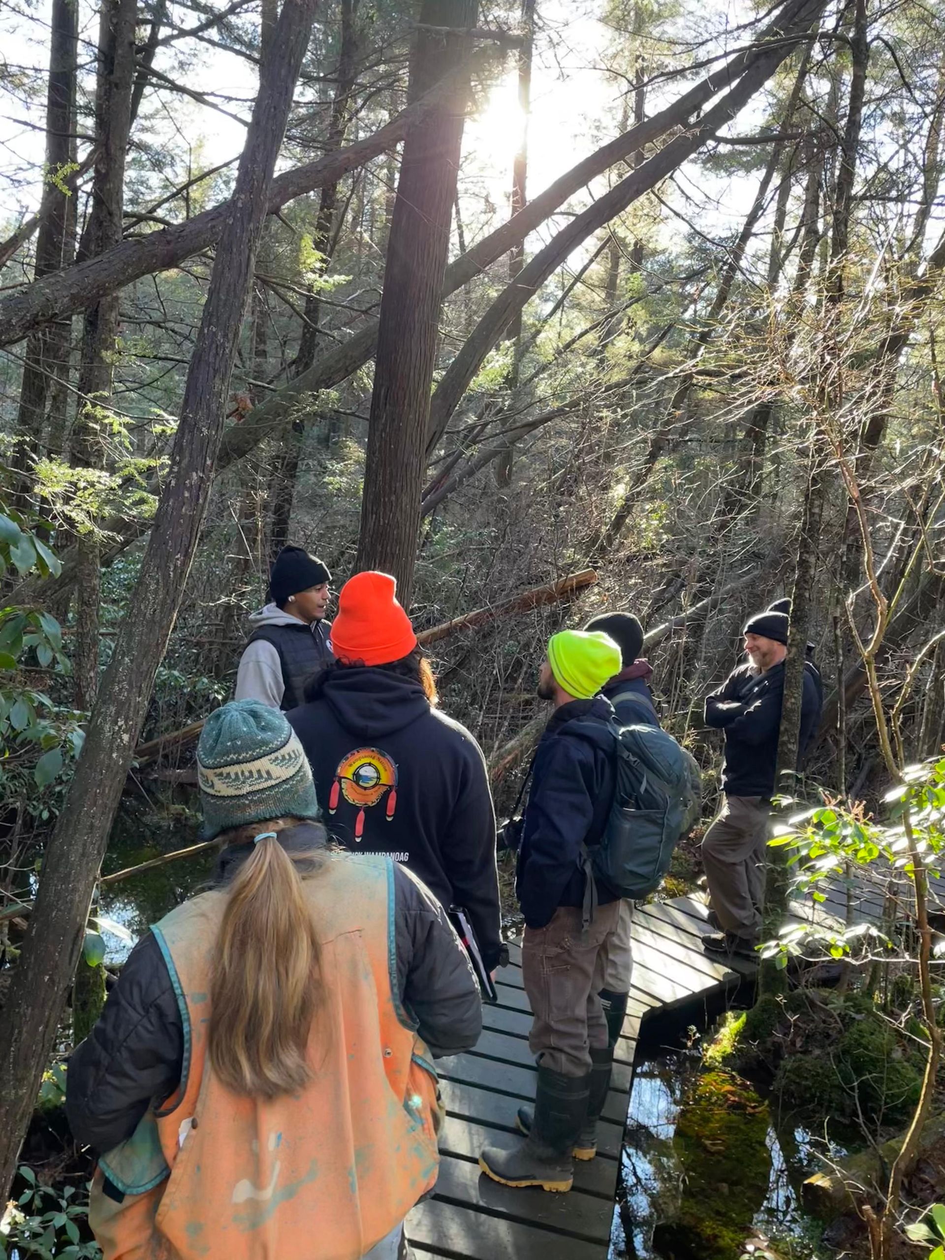 Group of people walking on a wooden path through a sunny forest.