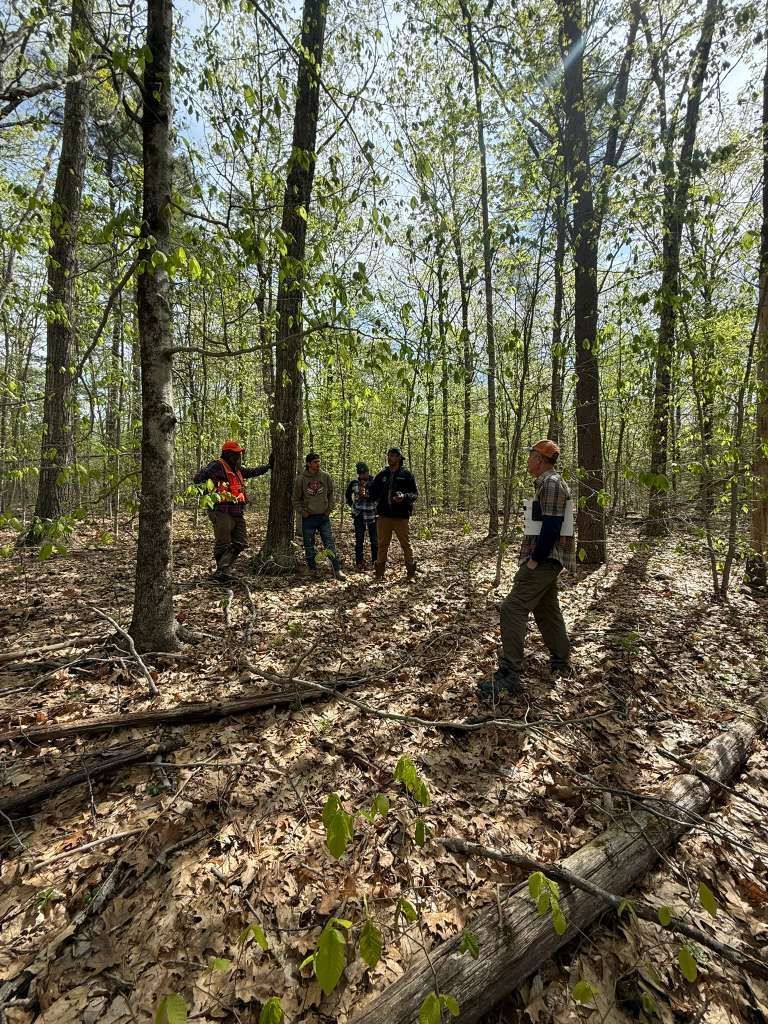 Group of people in a forest, standing among trees, looking at something. Sunny day, brown leaves on the ground.