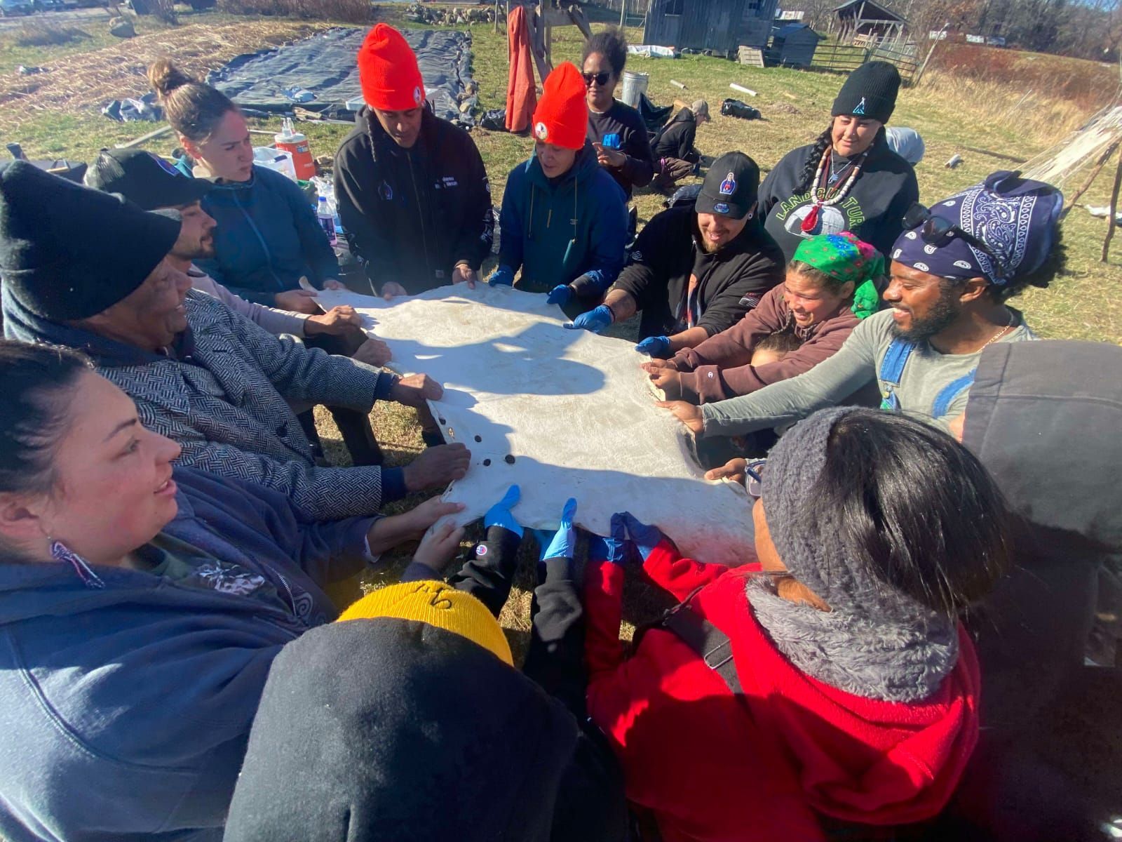 Group of people outdoors, stretching a hide. Sunny day, some wearing hats, focused expressions.