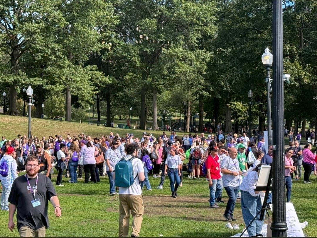 Large crowd gathered in a park, trees in the background. Many people wearing purple. Sunny day.