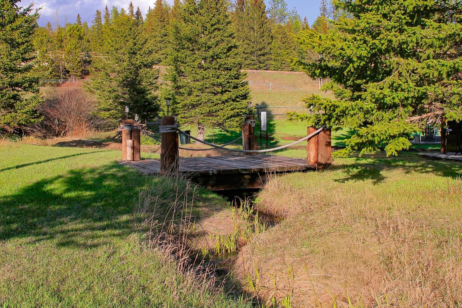 Grassy park with a small wooden bridge and colorful trees in autumn sunlight