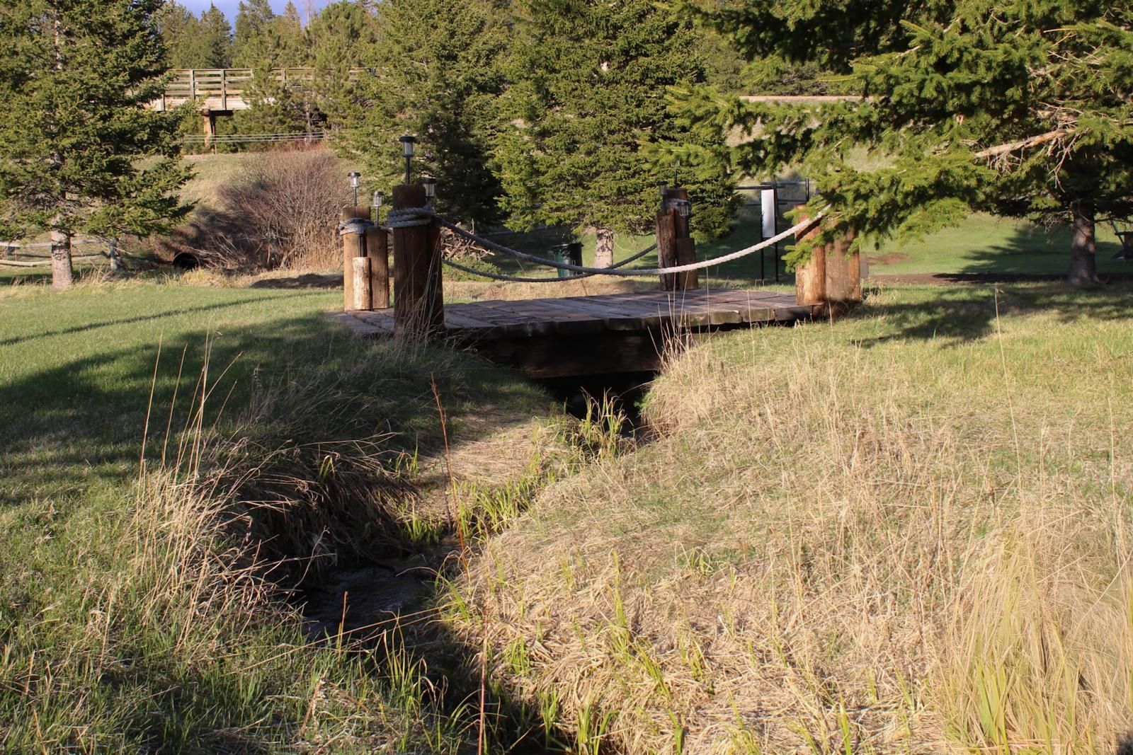 Small wooden footbridge over a narrow creek in a grassy park with trees and shrubs.