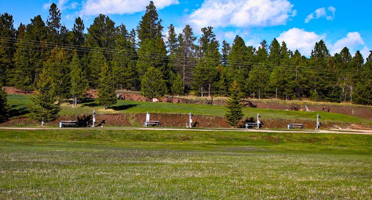 Grassy field with a terraced hillside, benches, and tall evergreen trees under a blue sky