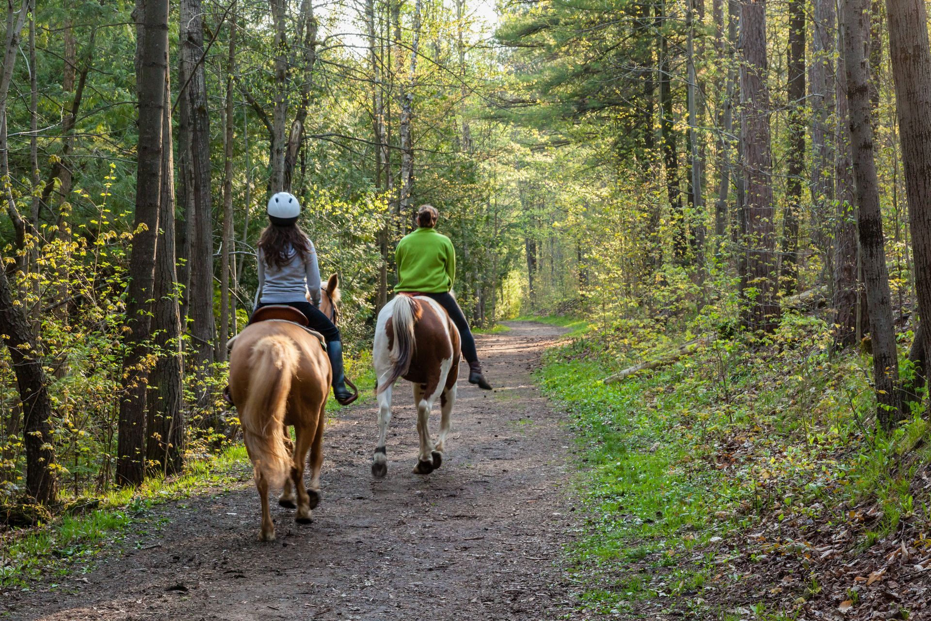 Two riders on horses on a wooded trail in a sunlit forest