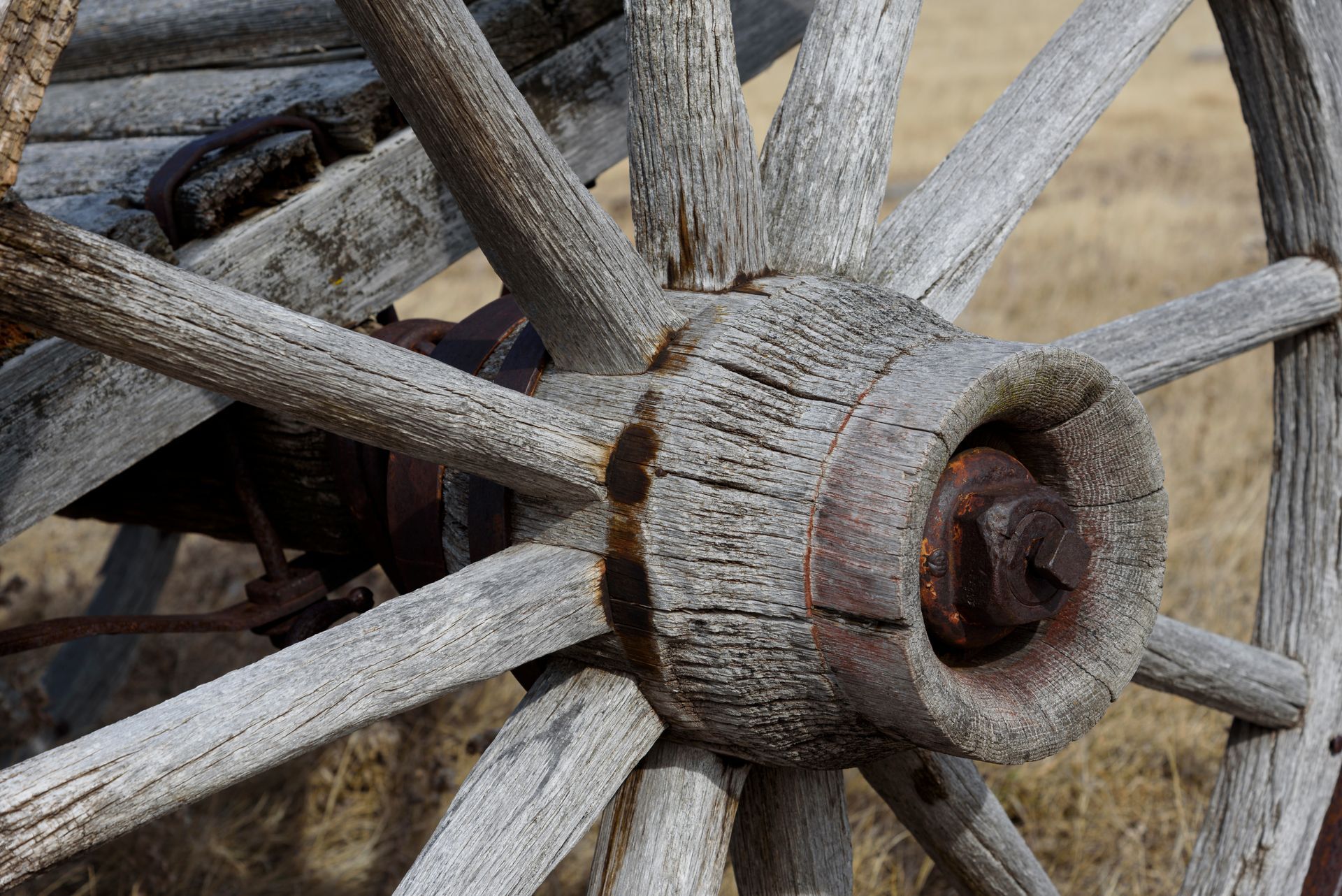 Close-up of a weathered wooden wagon wheel with gray spokes and a rusted iron hub.