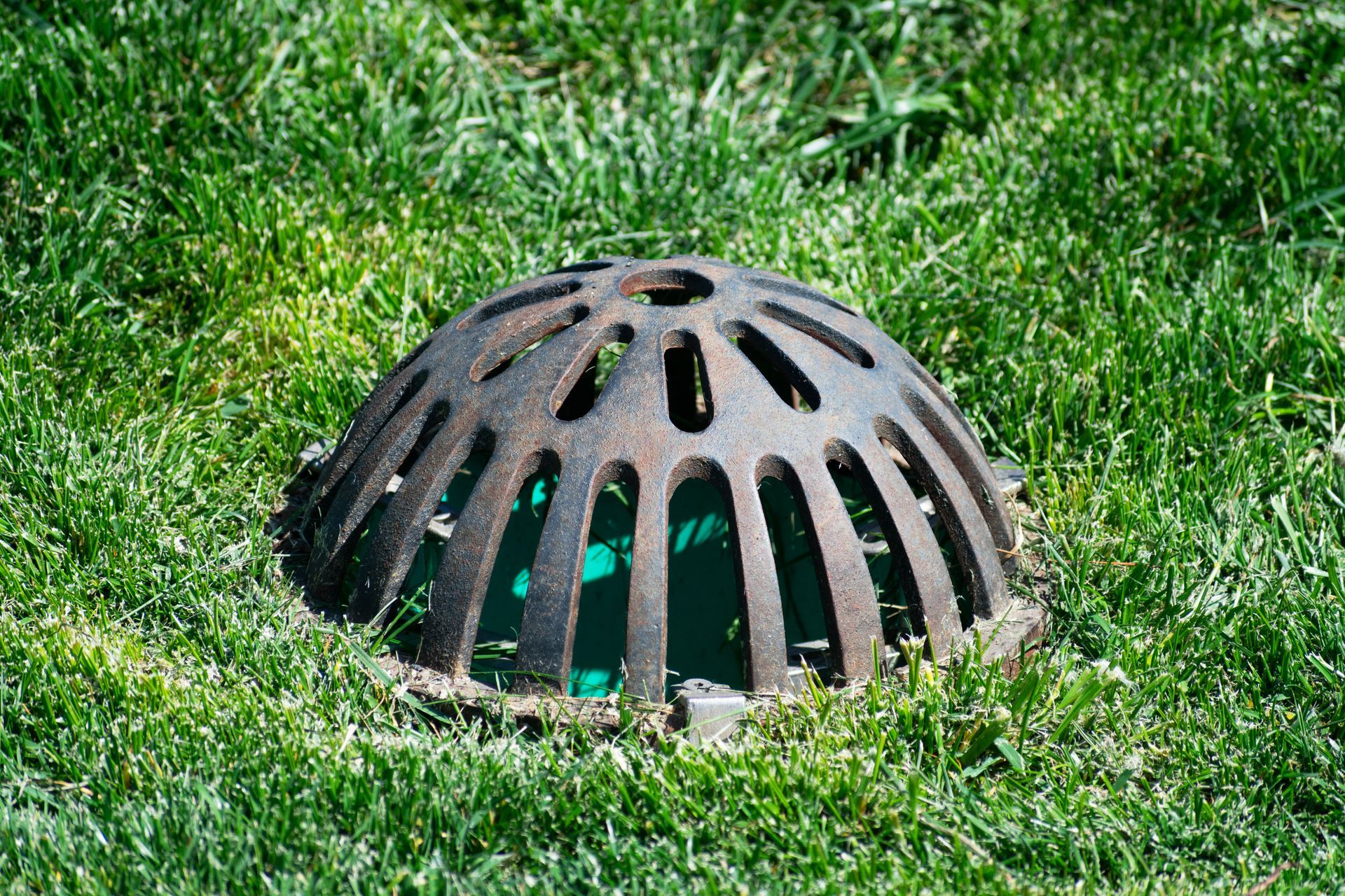 Black dome-shaped drain cover in green grass