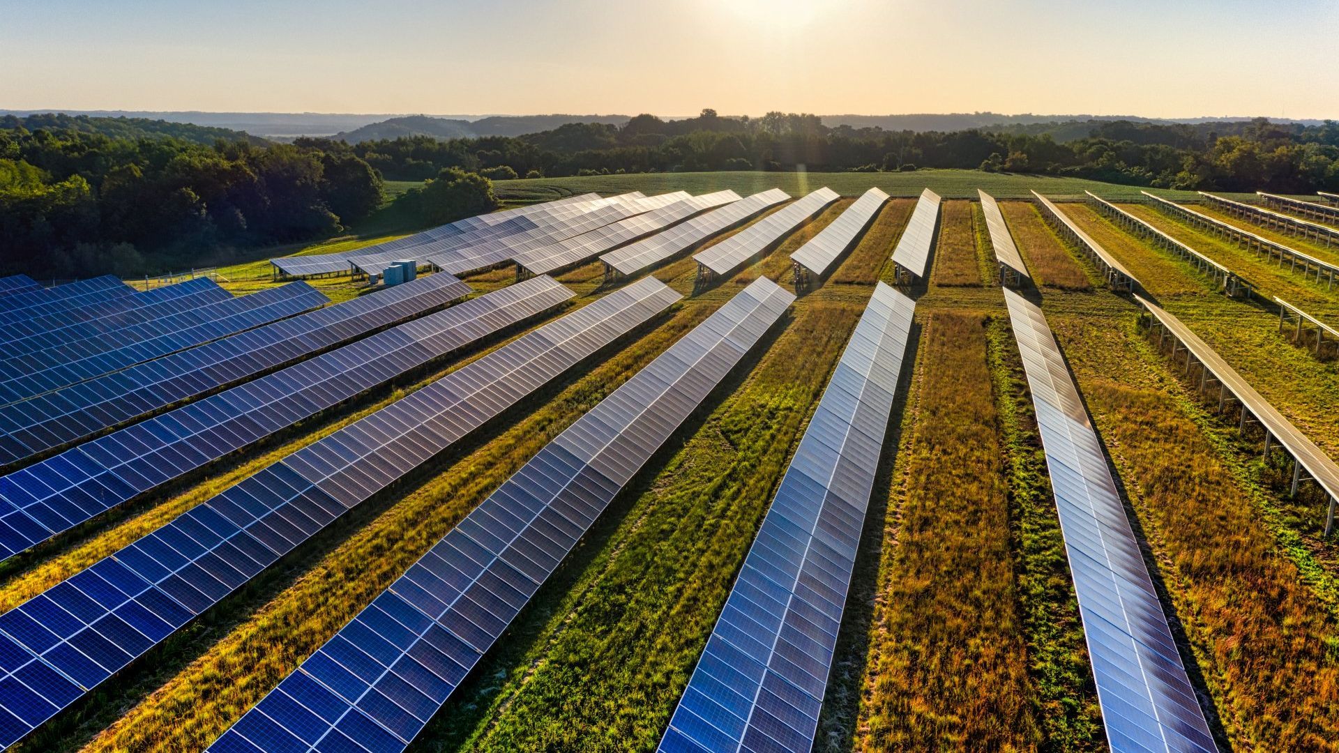 Rows of solar panels in a field at sunset, stretching toward the horizon