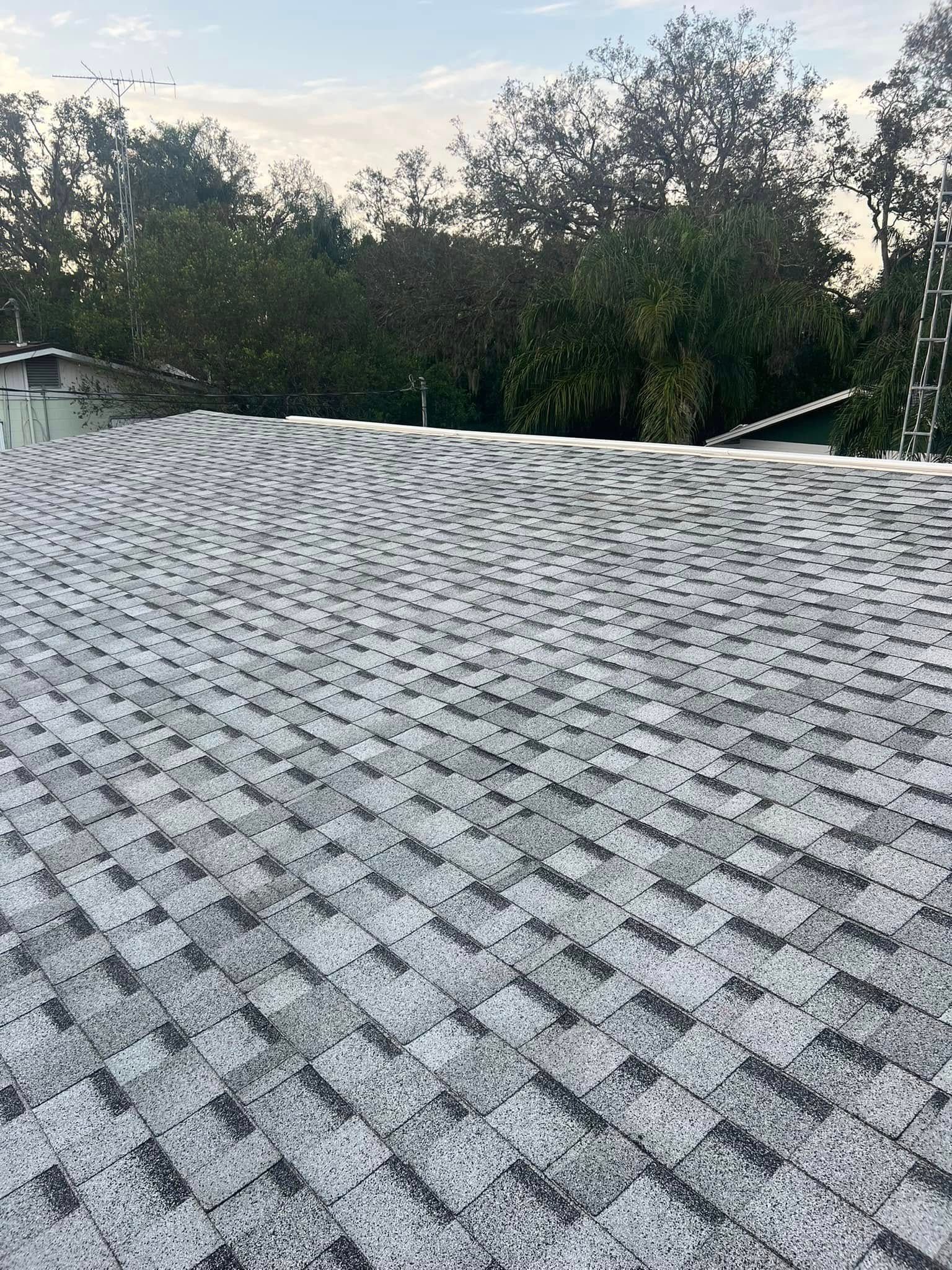 Granular roof shingles in the foreground with trees and sky in the background