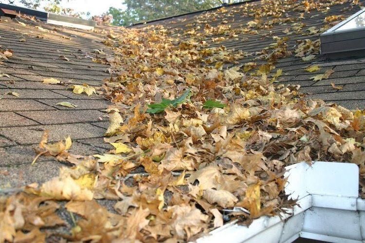 Leaves piled on a roof gutter and shingles in autumn.