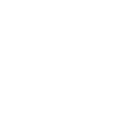 VitalRenew logo